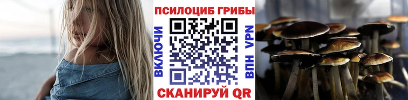 продажа наркотиков  hydra ссылка  Галлюциногенные грибы прущие грибы  Чёрмоз 